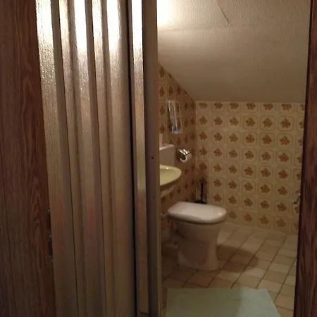 Pensjonat Gasthaus Sternknockel Bodenmais