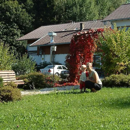 Pensjonat Gasthaus Sternknockel Bodenmais